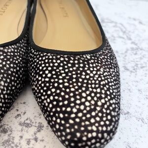 Talbots Women's size 5 1/2 Black/White